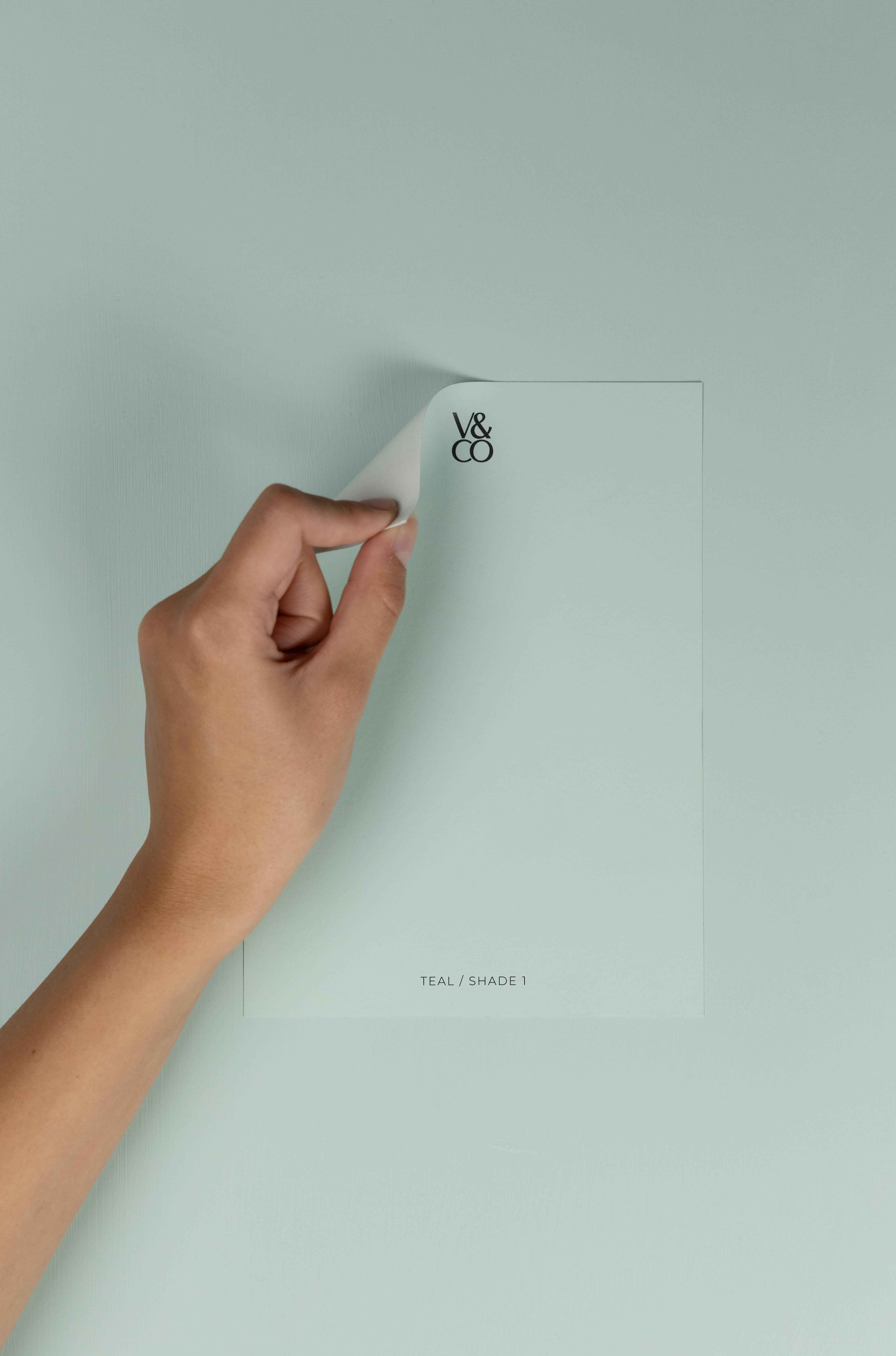 Peel & Stick Colour Samples