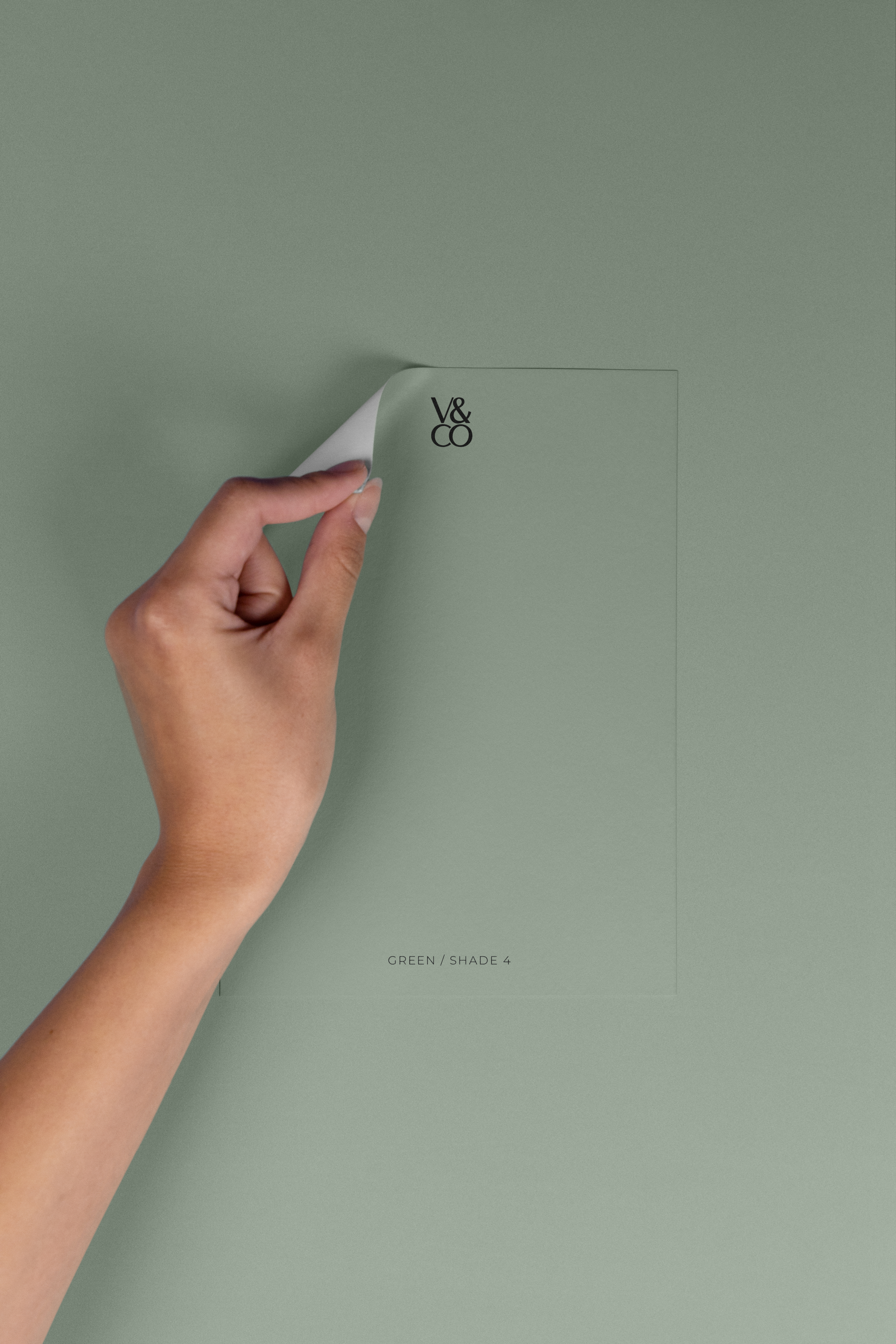 Peel & Stick Colour Samples