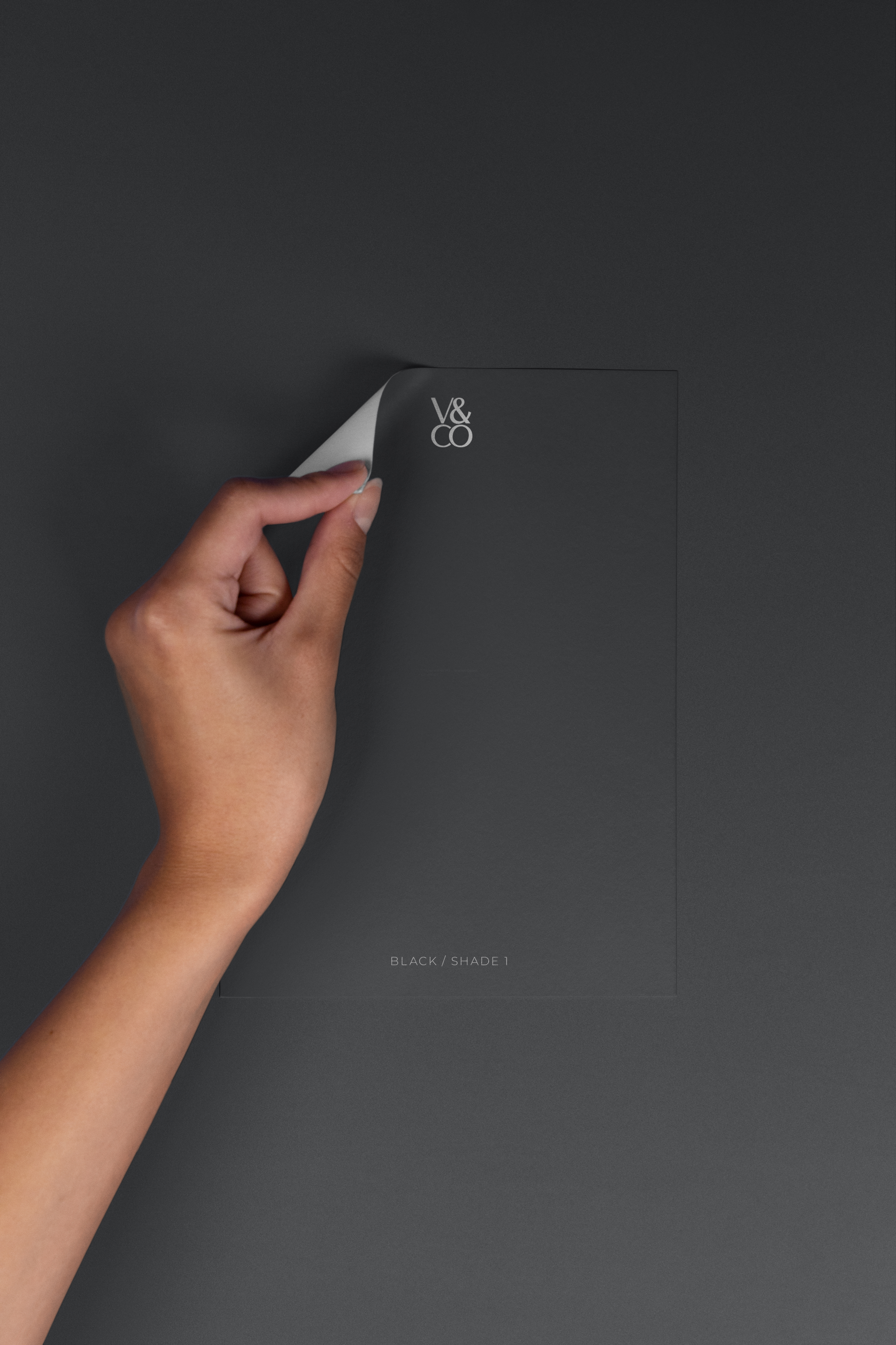 Peel & Stick Colour Samples