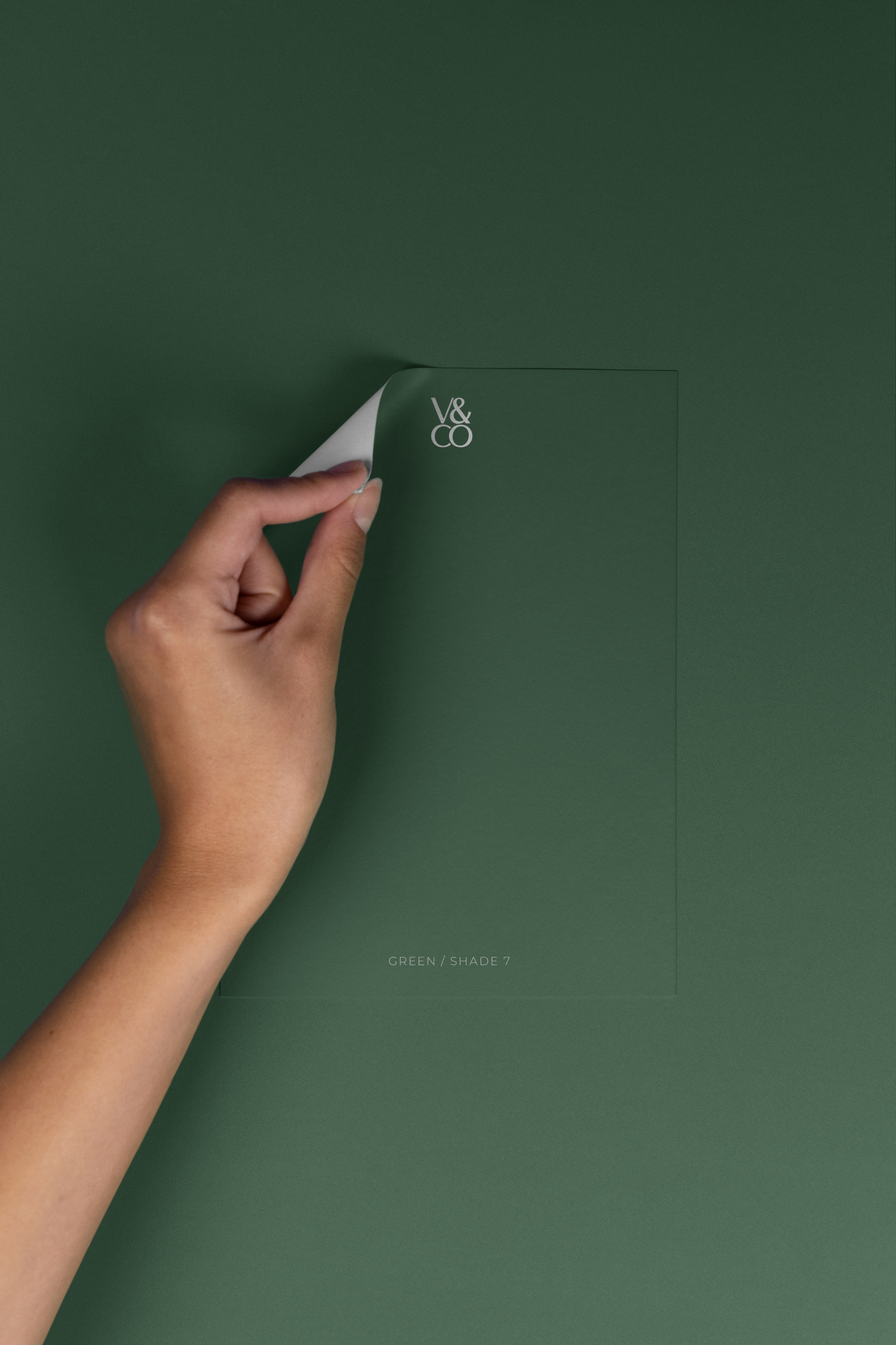 Peel & Stick Colour Samples