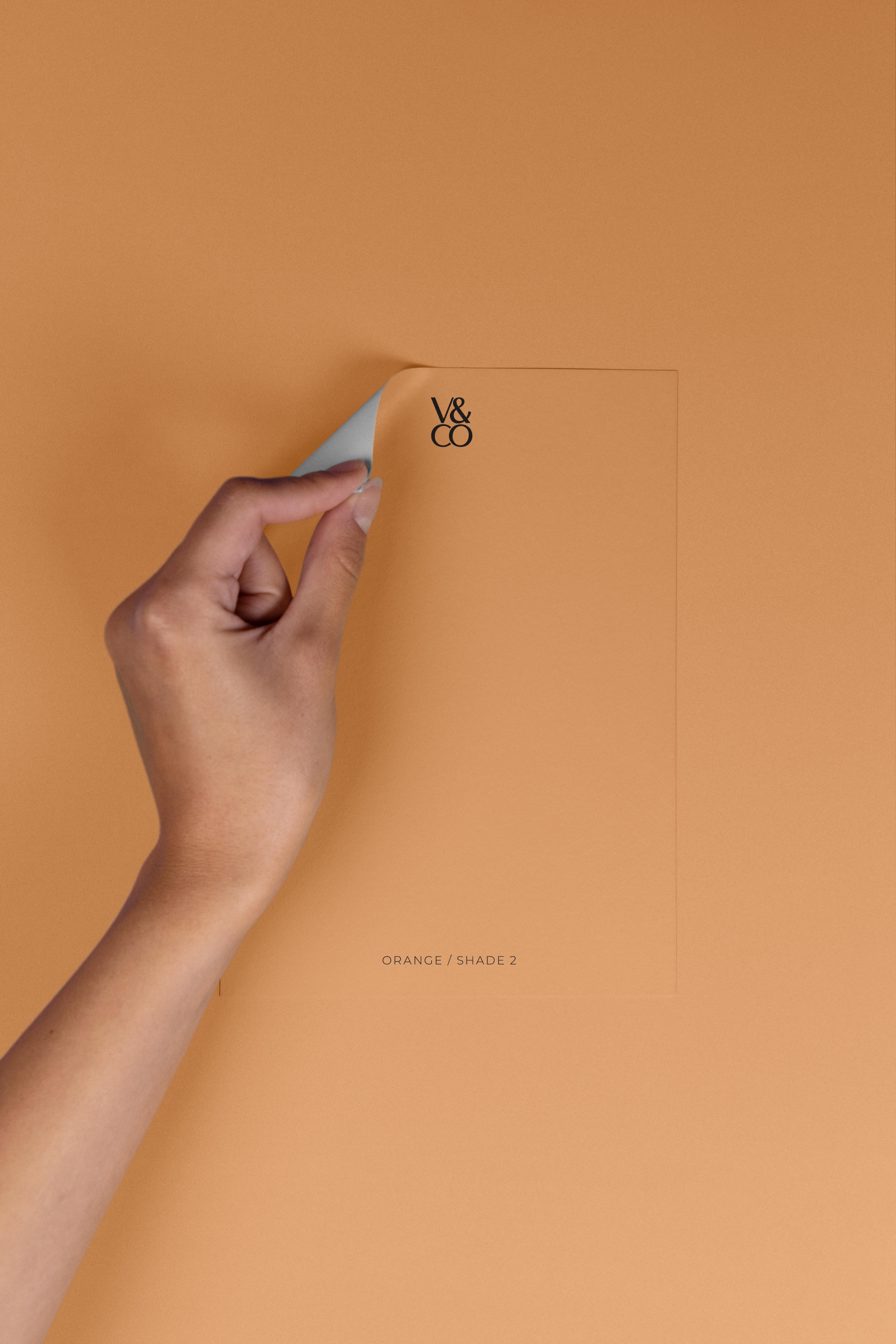 Peel & Stick Colour Samples