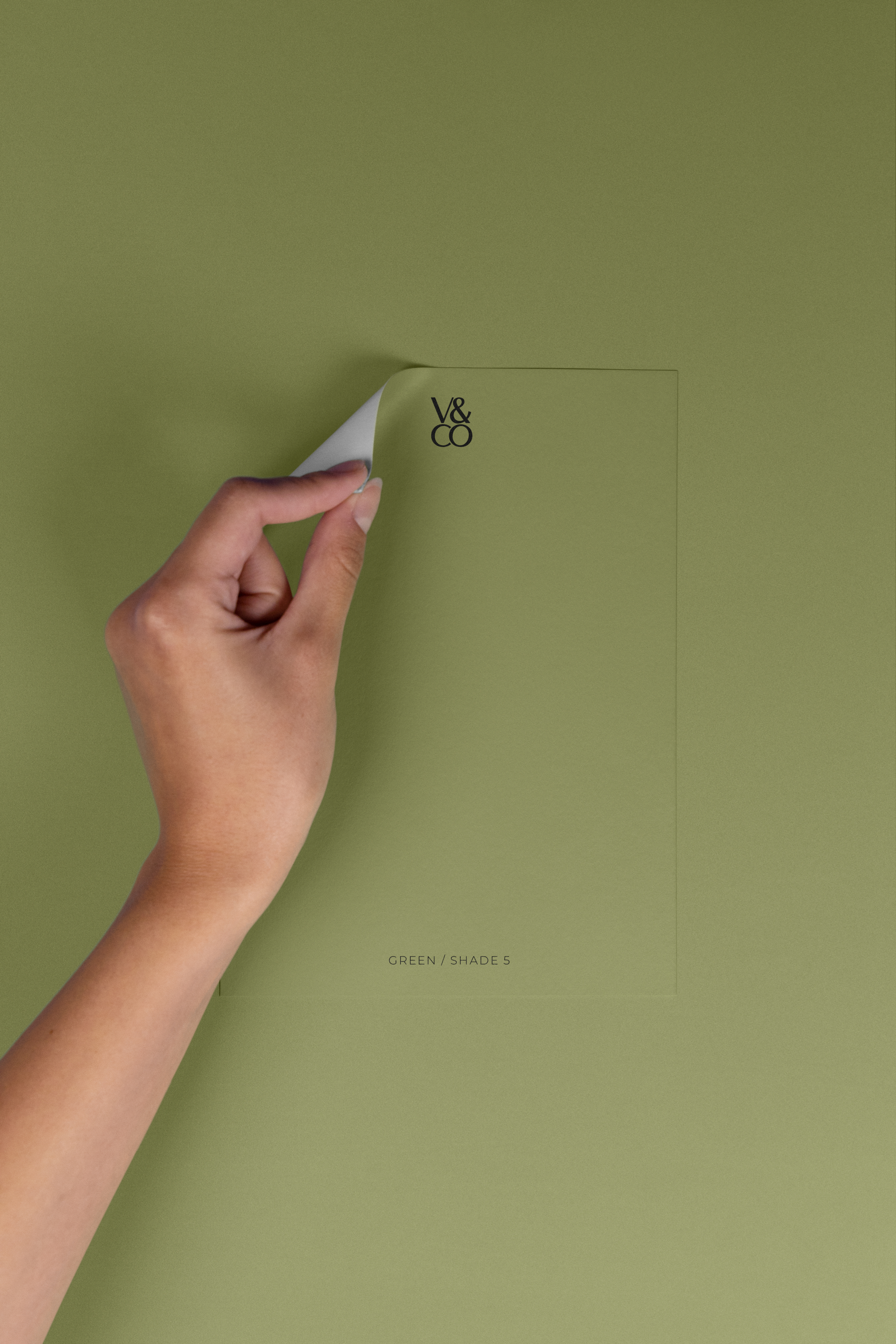 Peel & Stick Colour Samples